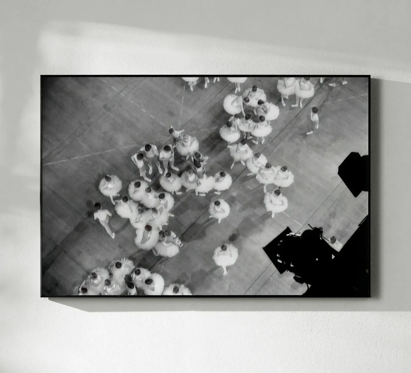 Tutus in the studio acryl van BLACK WITH WHITE