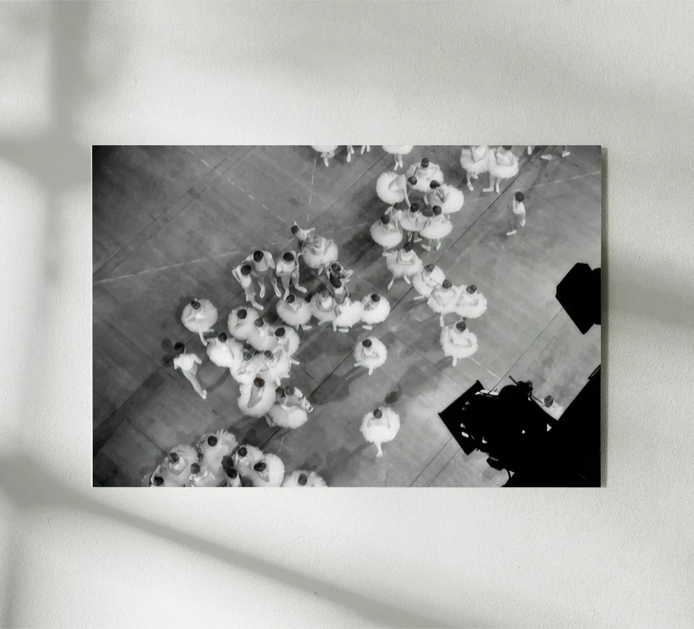 Tutus in the studio acryl van BLACK WITH WHITE