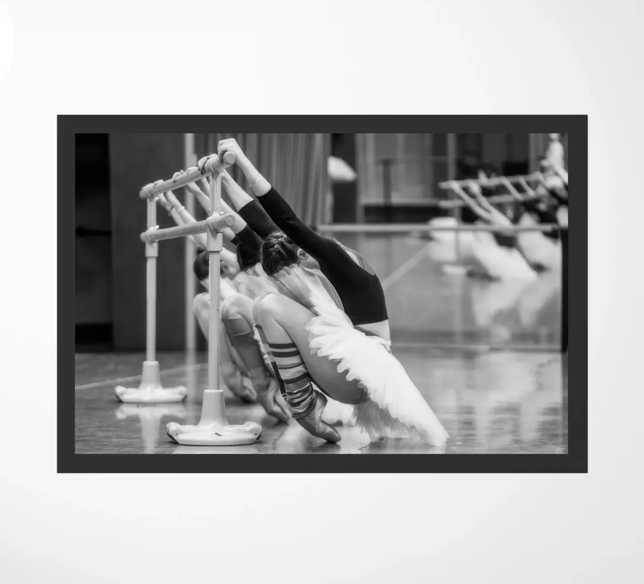 Studi I zerbino da jonatan bridge