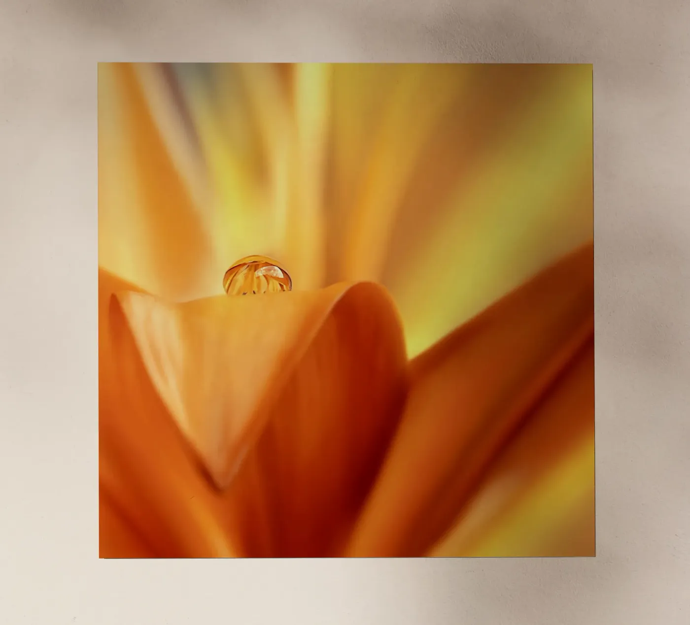 drop pellicola backlit da Atteloi Fotografie