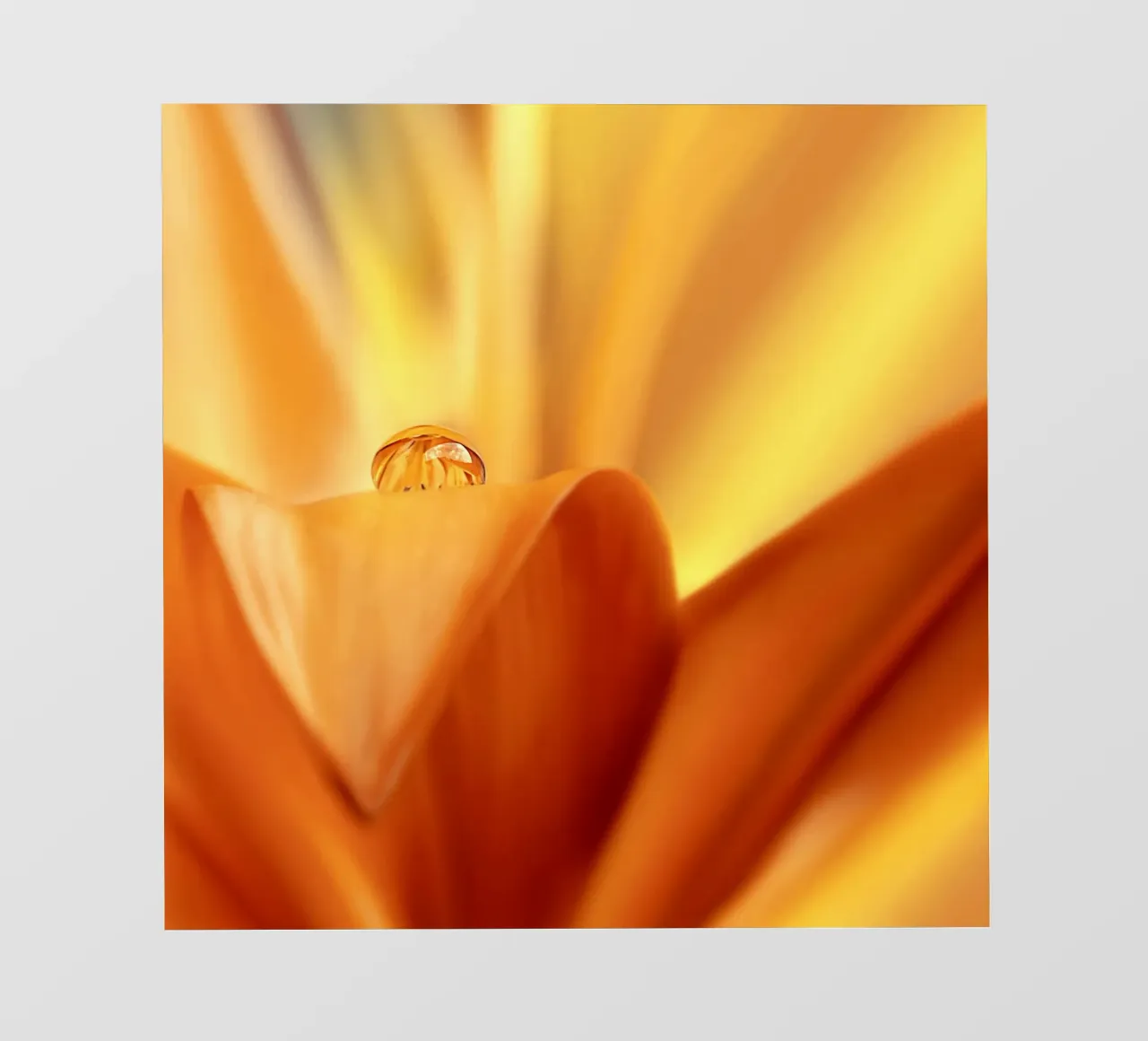 goccia pellicola backlit da Atteloi