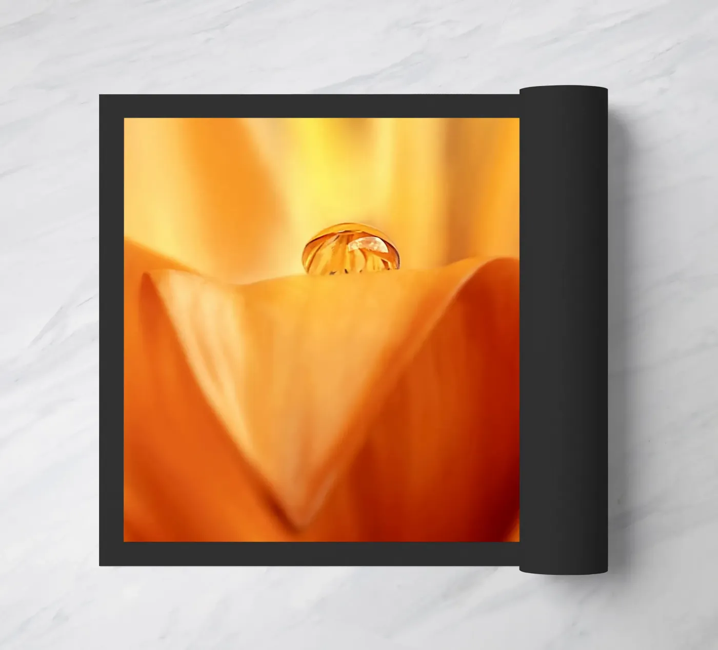 drop zerbino da Atteloi Fotografie