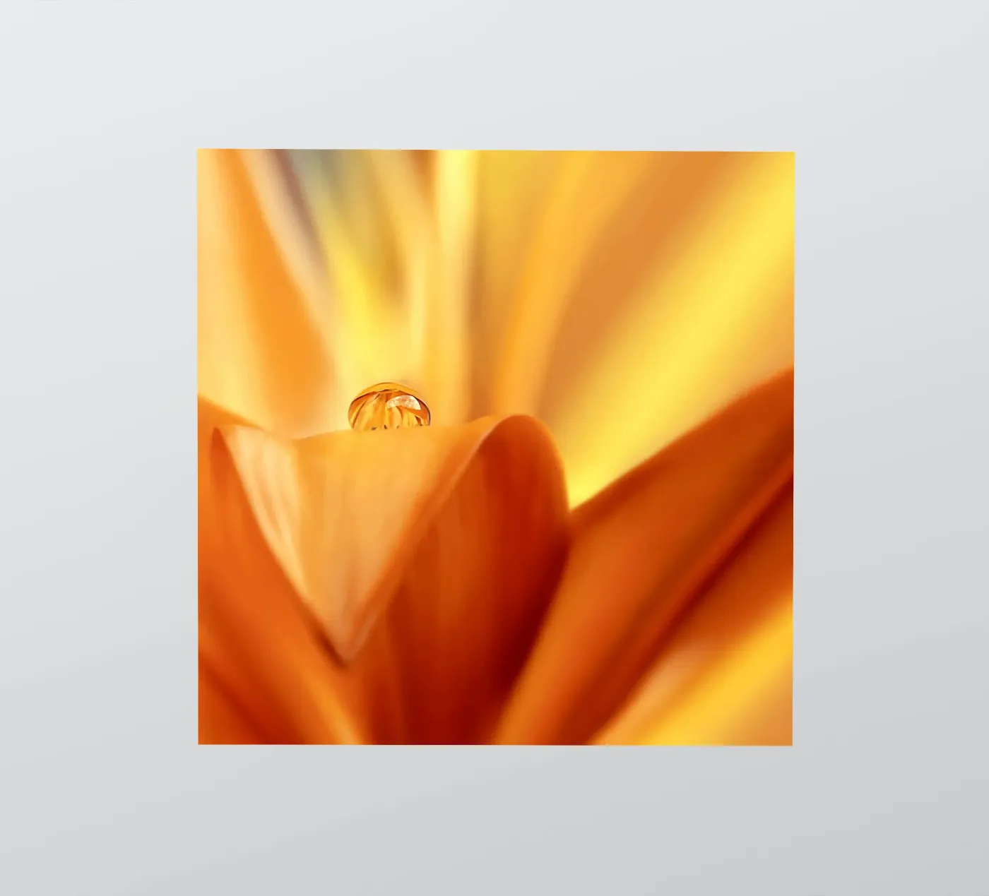 drop sticker by Atteloi Fotografie