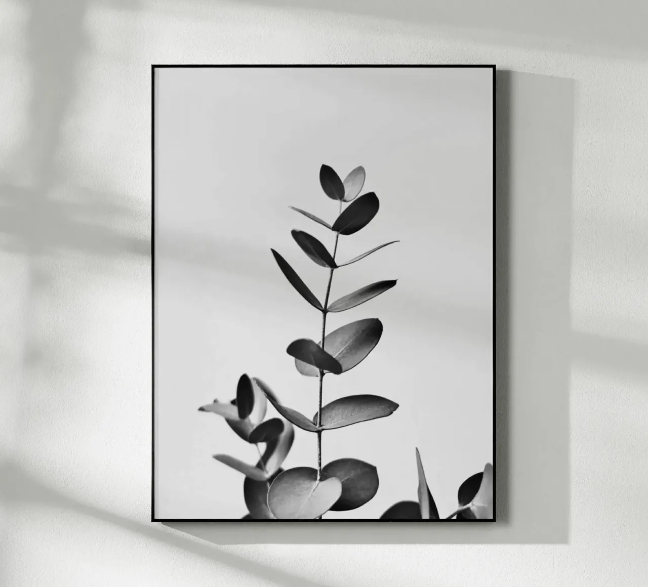 BW EUCALYPTUS acrylic glass by PERSIE