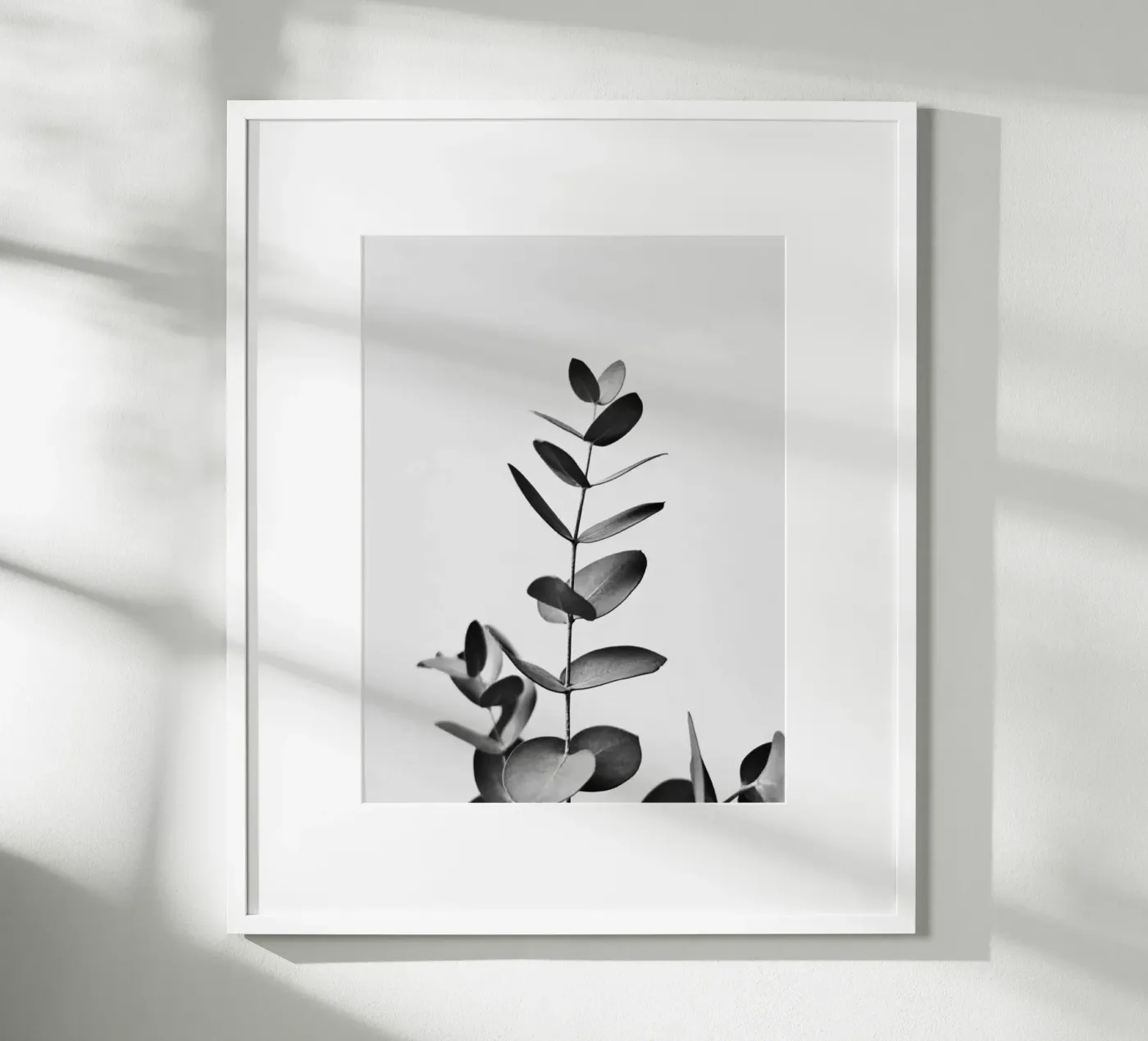 BW EUCALYPTUS poster by PERSIE