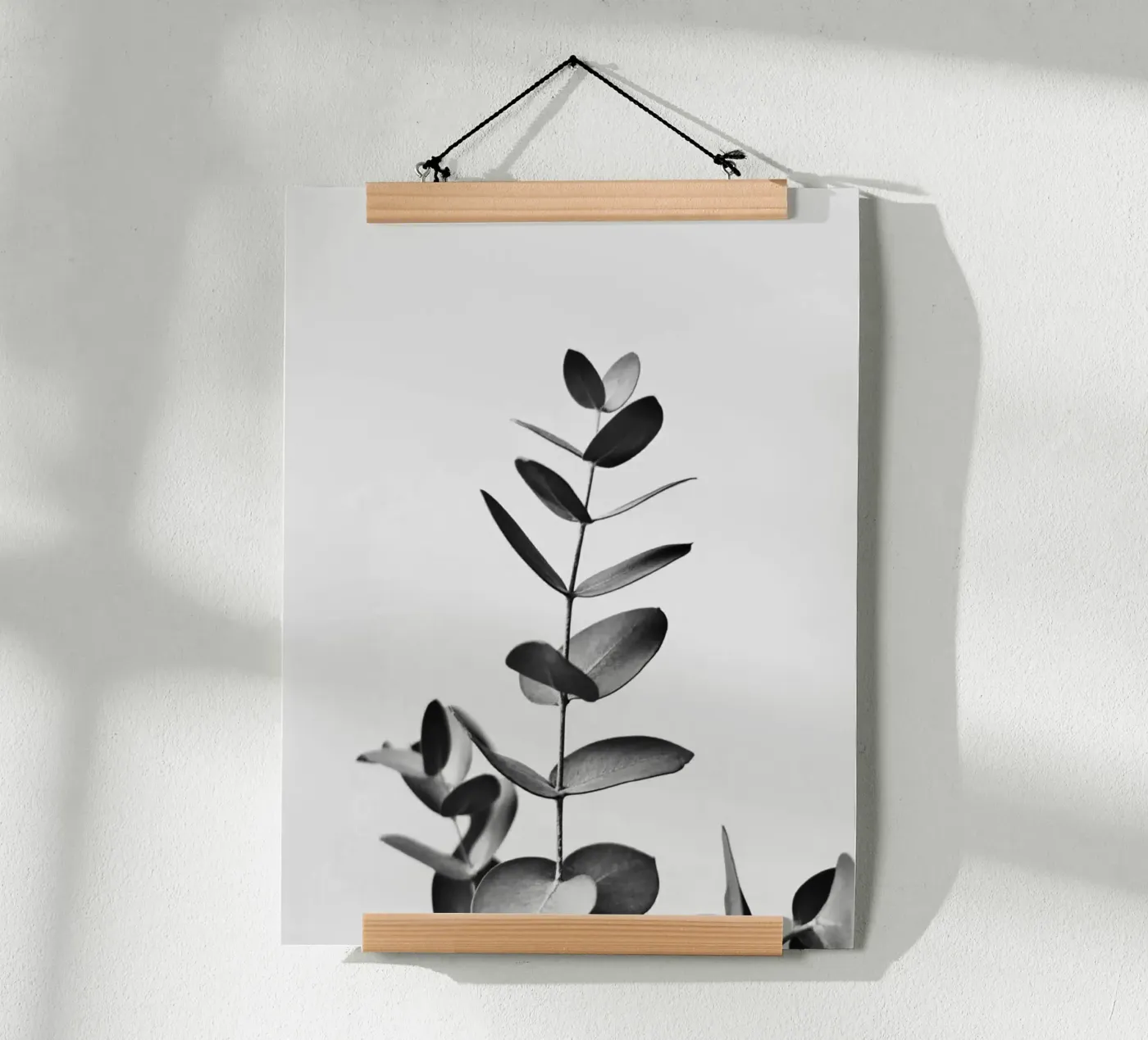BW EUCALYPTUS poster by PERSIE