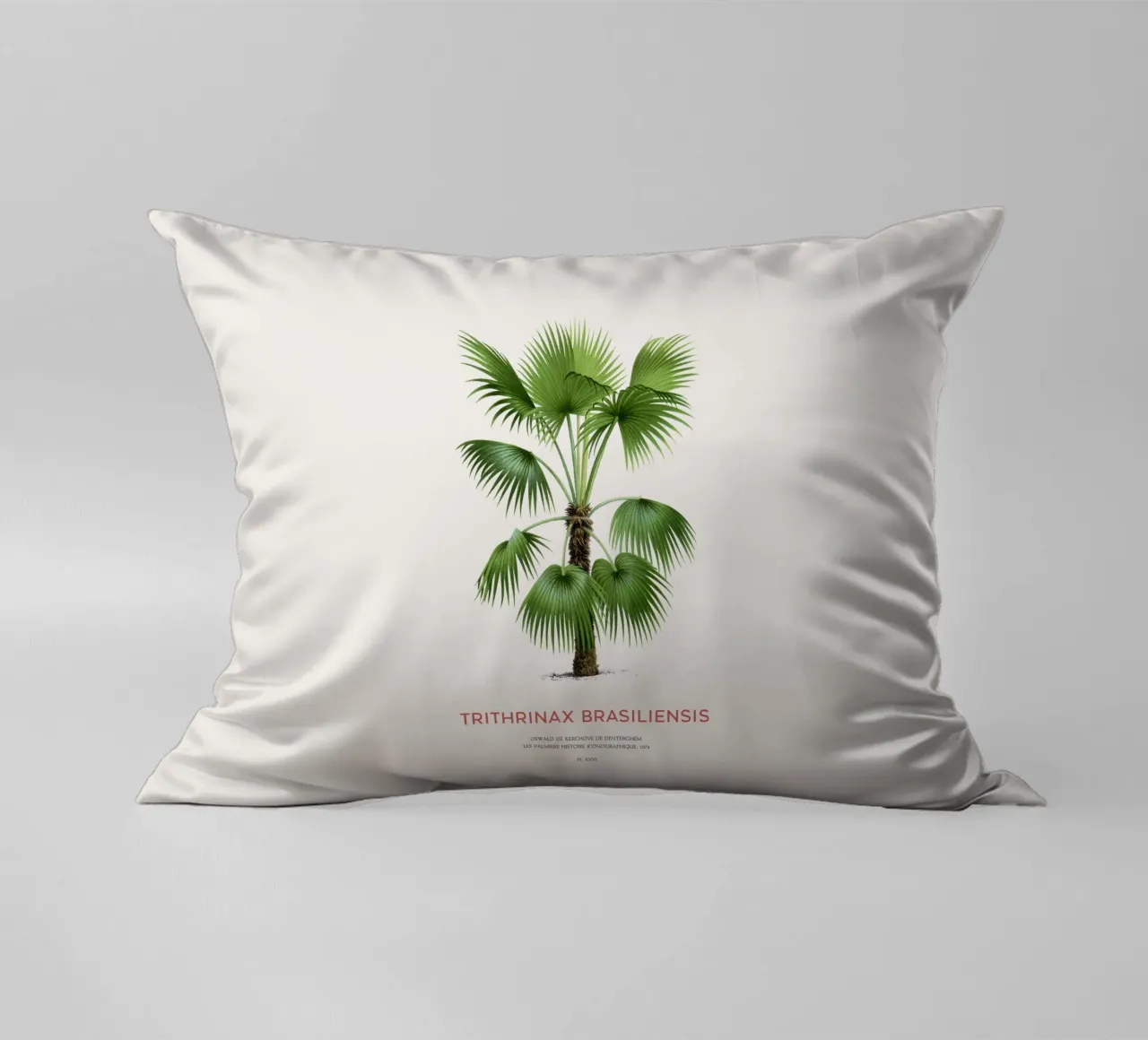 Palma - Trithrinax Brasiliensis cuscino da Vintagrafica
