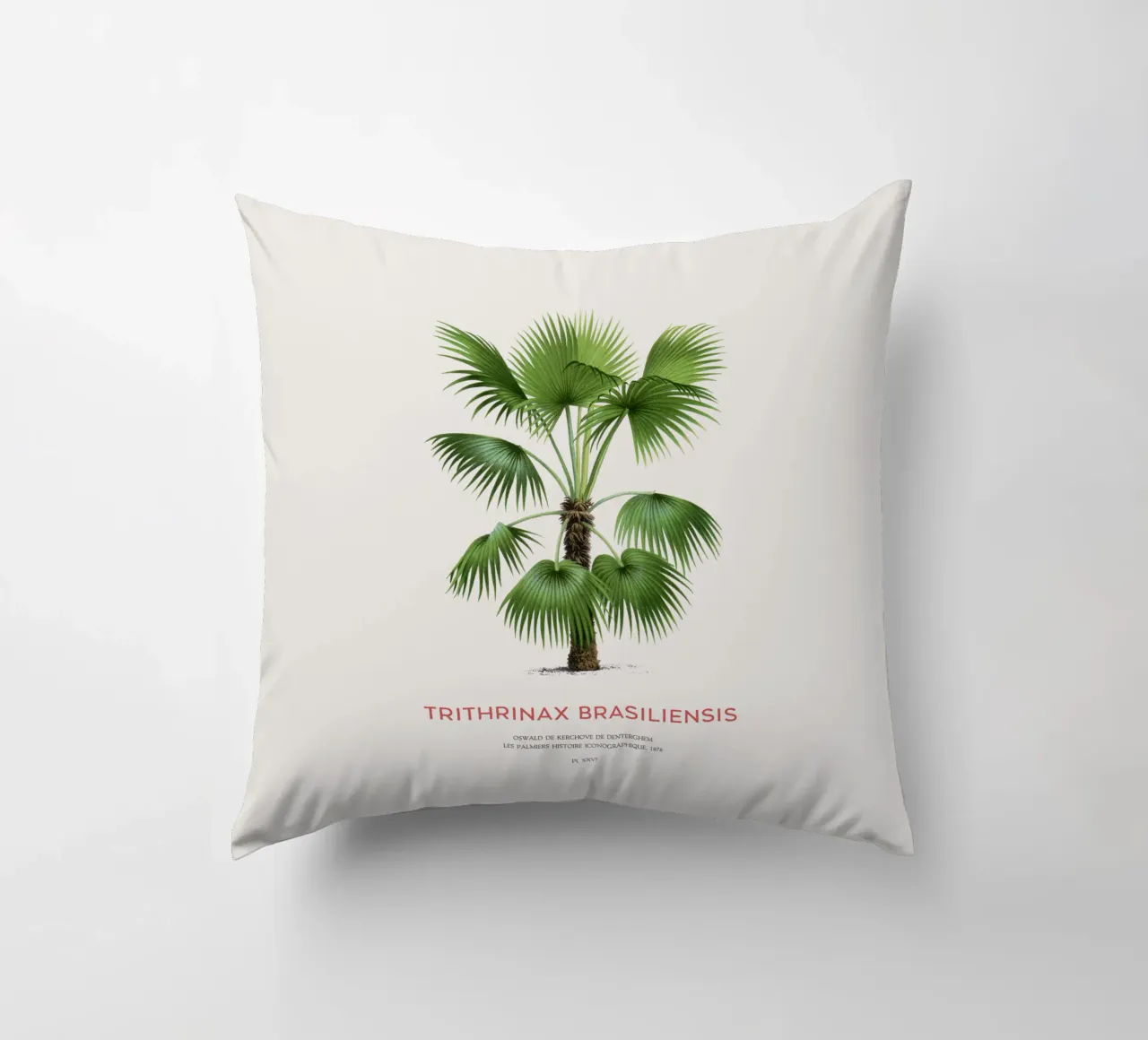 Palma - Trithrinax Brasiliensis cuscino da Vintagrafica