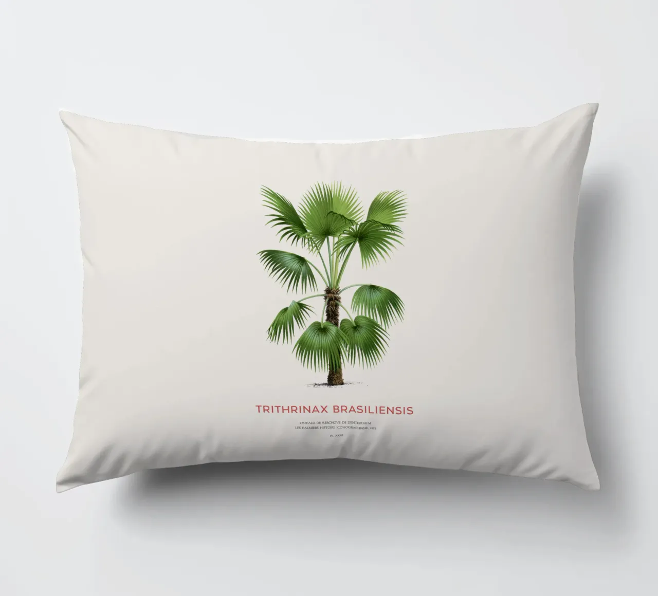 Palma - Trithrinax Brasiliensis cuscino da Vintagrafica