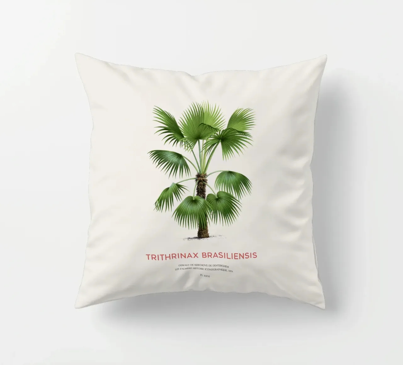 Palma - Trithrinax Brasiliensis cuscino da Vintagrafica