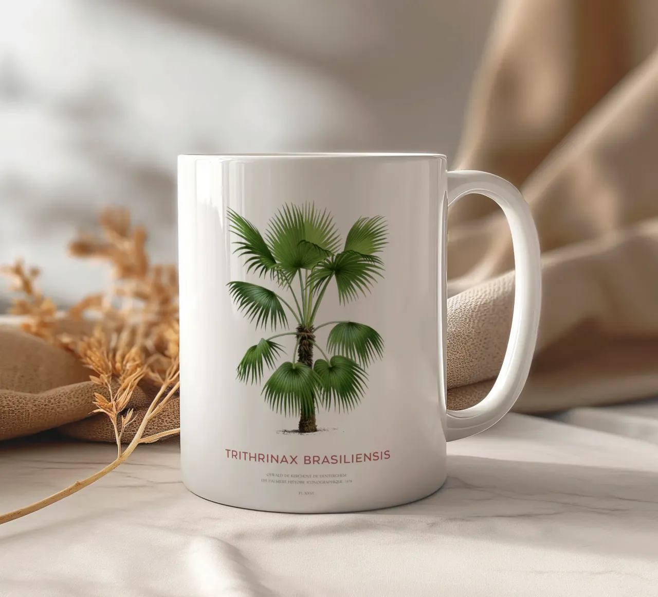 Palma - Trithrinax Brasiliensis tazza in ceramica da Vintagrafica