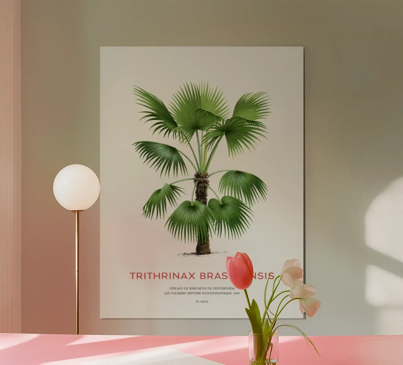 Palm tree - Trithrinax Brasiliensis hahnemühle by Vintagrafica