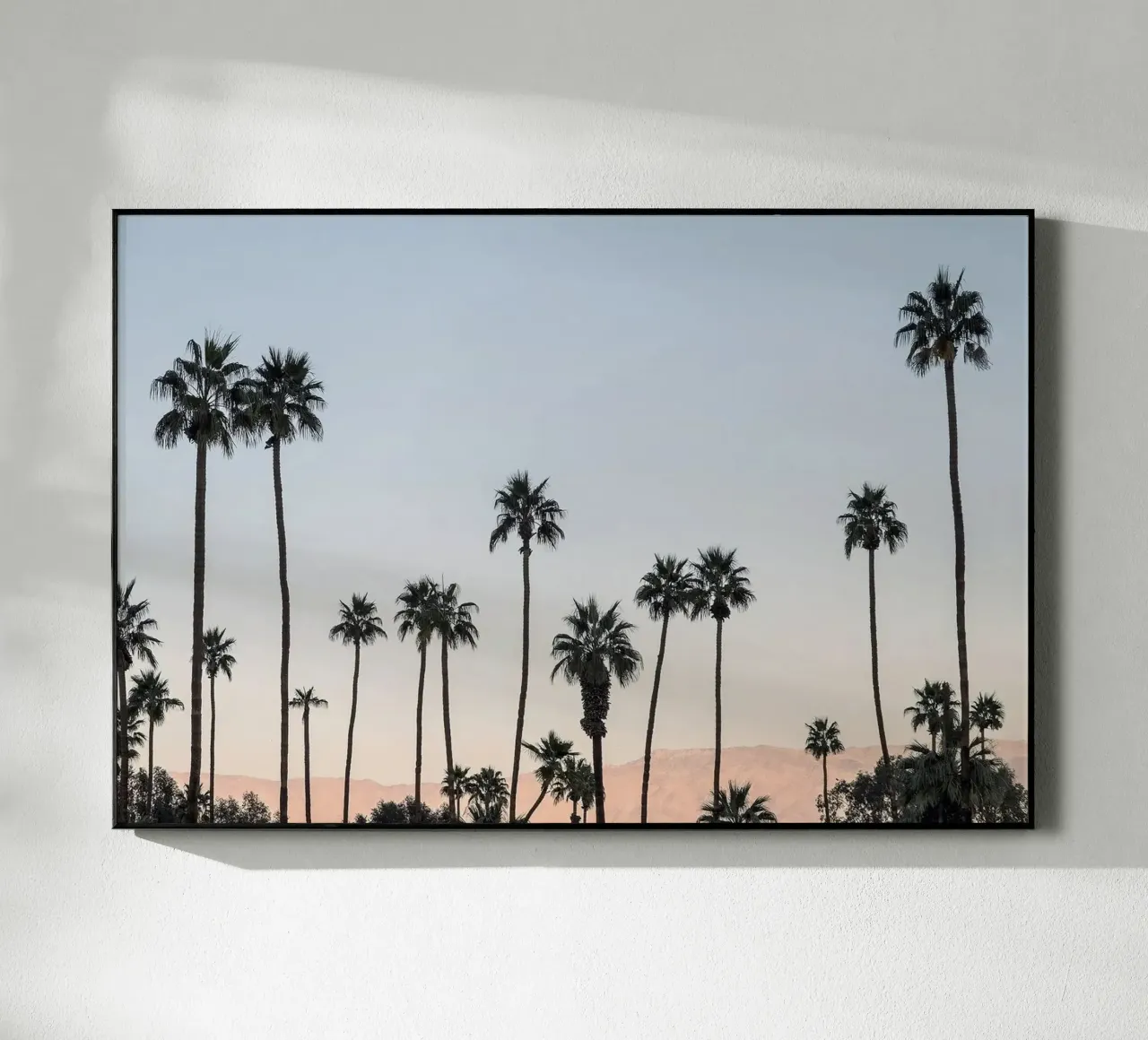 Desert Palm Tree plexiglass da Gerarldking Mellisa