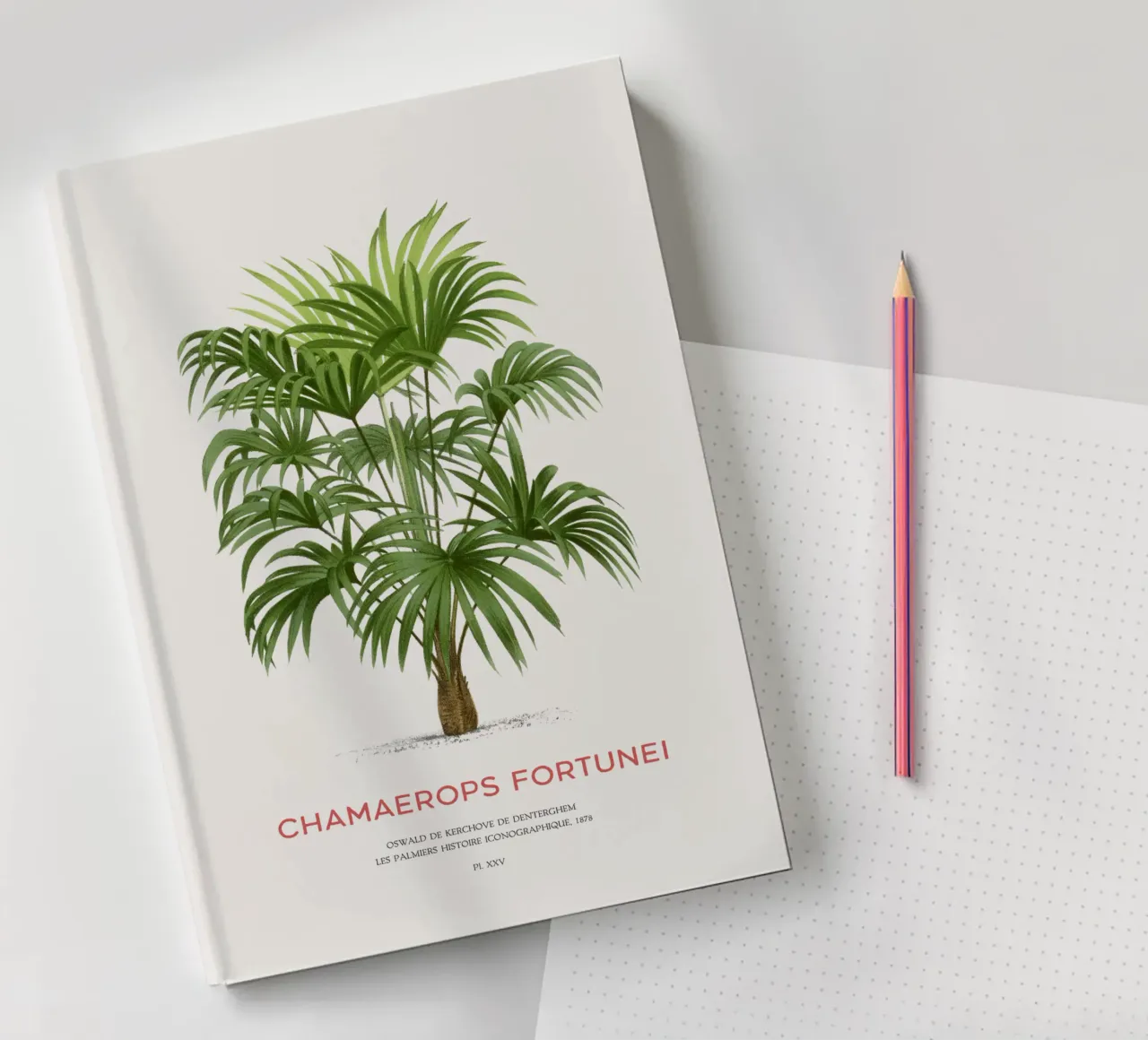 Chinese windmill palm or Chamaerops Fortunei notebook by Vintagrafica