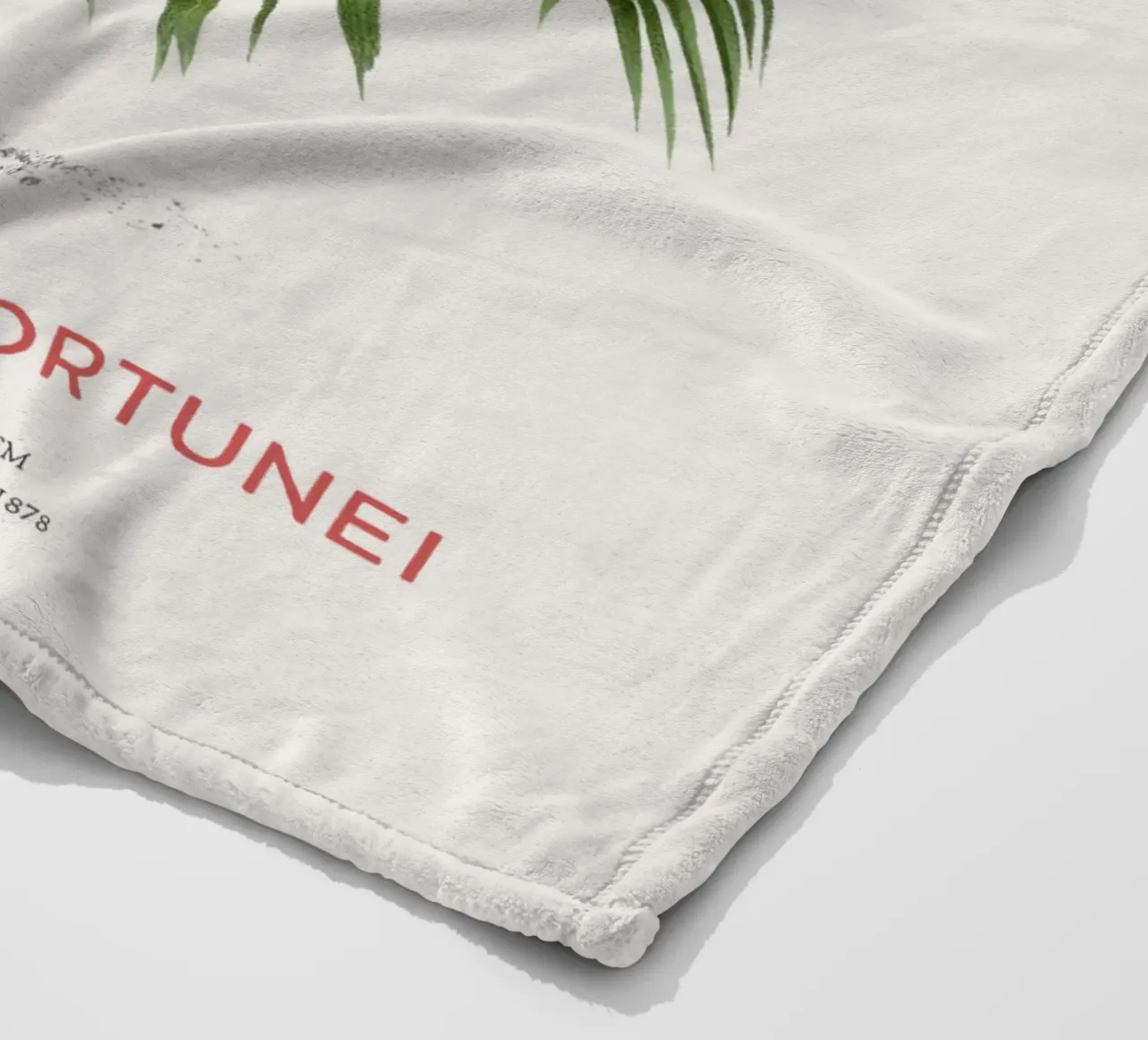 Palma dei mulini a vento cinese o Chamaerops Fortunei coperta in pile da Vintagrafica