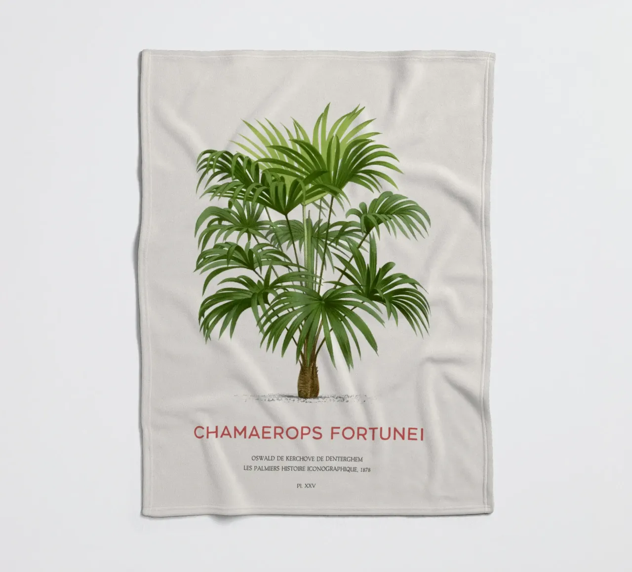 Palma dei mulini a vento cinese o Chamaerops Fortunei coperta in pile da Vintagrafica