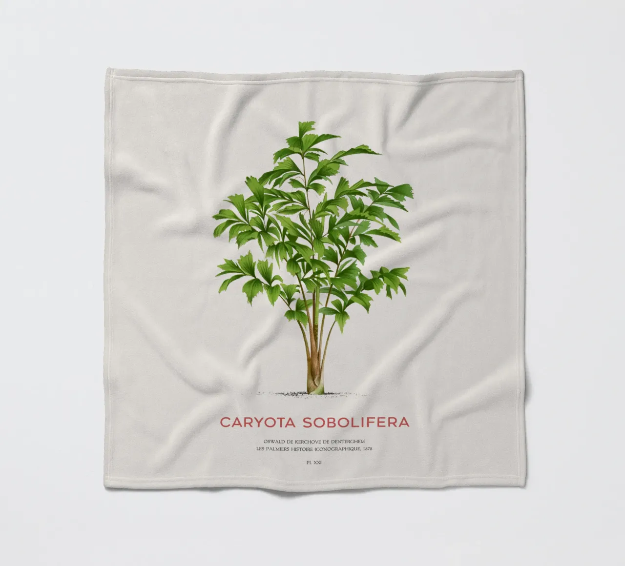 Palma a coda di pesce a grappolo o Caryota Sobolifera coperta in pile da Vintagrafica