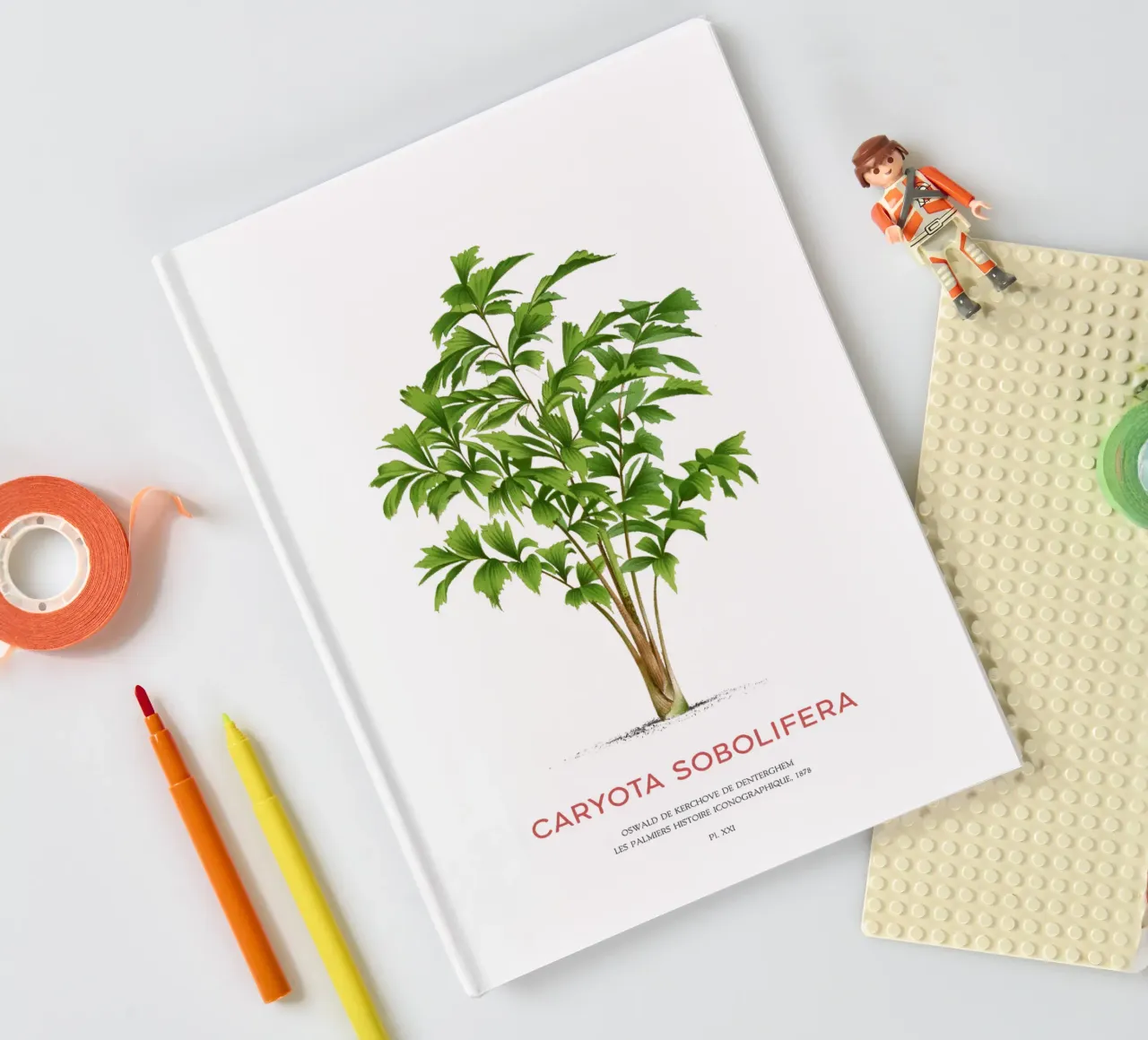 Clustering fishtail palm or Caryota Sobolifera notebook by Vintagrafica