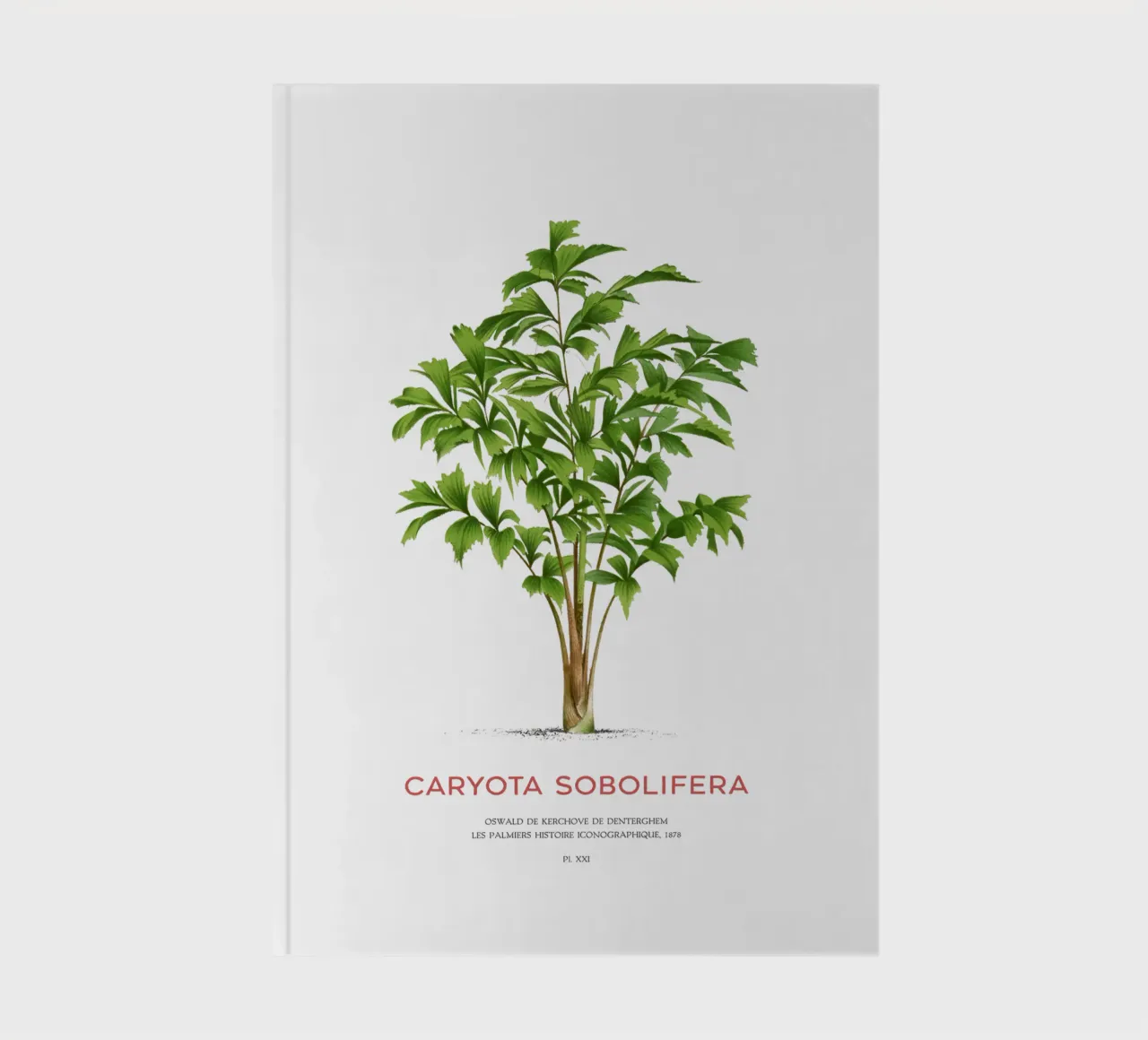 Clustering fishtail palm or Caryota Sobolifera notebook by Vintagrafica