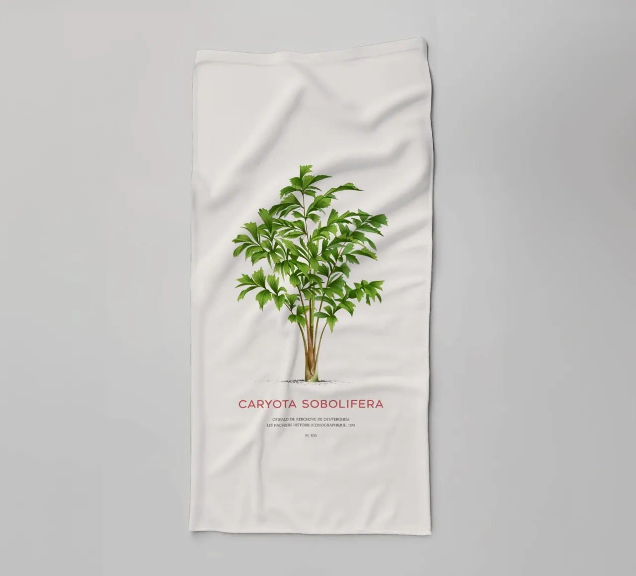 Clustering fishtail palm or Caryota Sobolifera towel by Vintagrafica