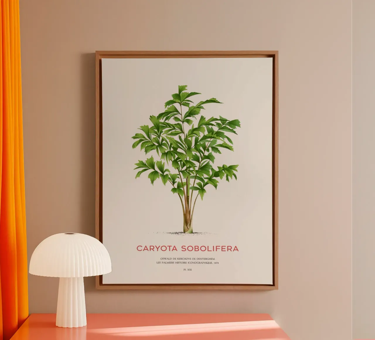 Clustering fishtail palm or Caryota Sobolifera canvas by Vintagrafica