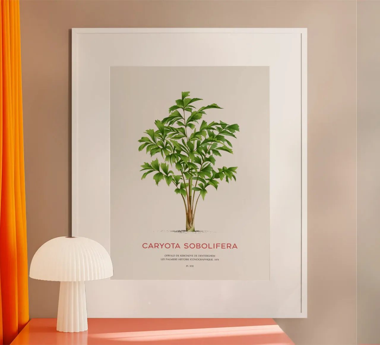 Palma a coda di pesce a grappolo o Caryota Sobolifera poster con telaio in plastica da Vintagrafica