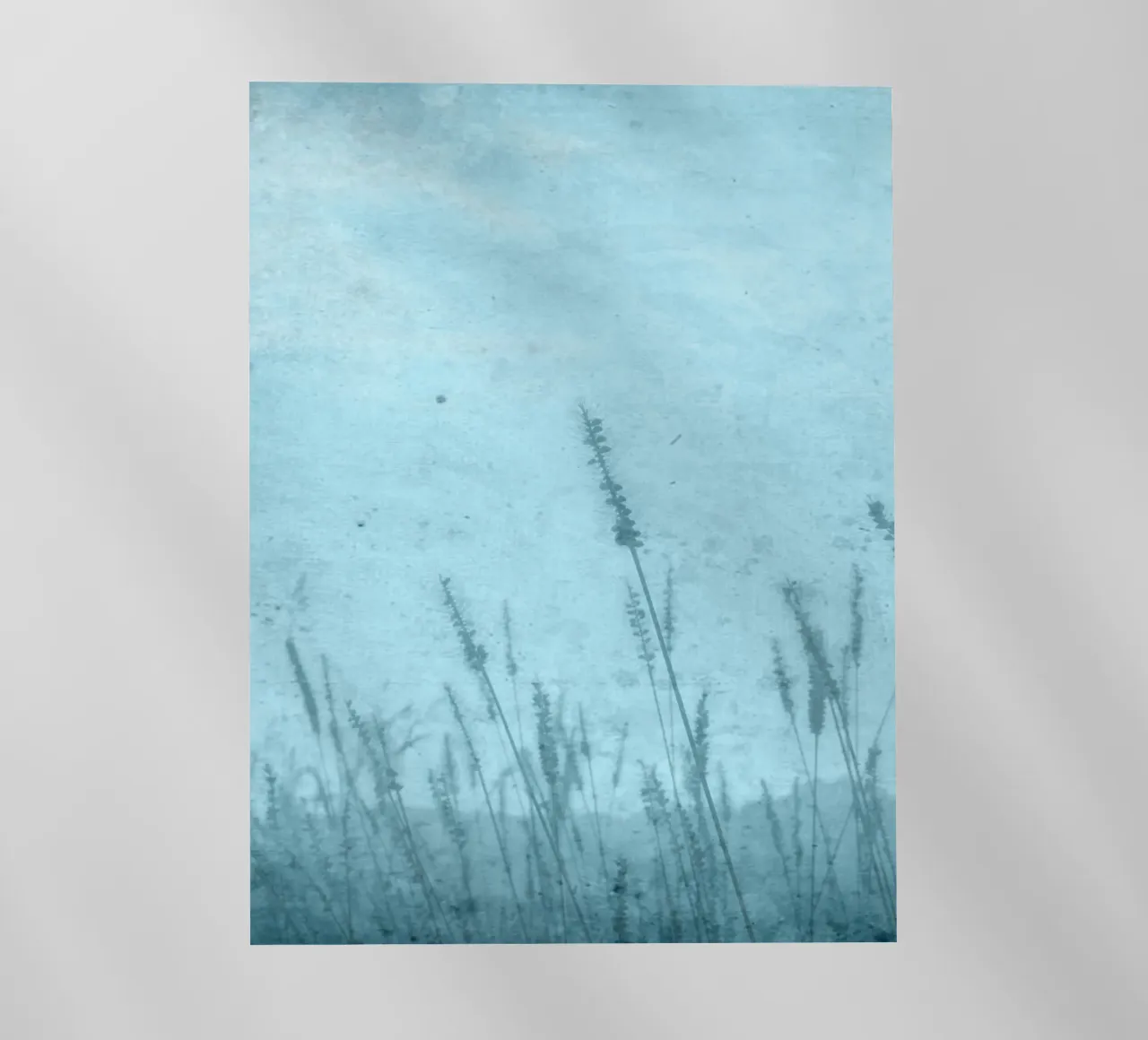 Prati pellicola backlit da ArtSkratches