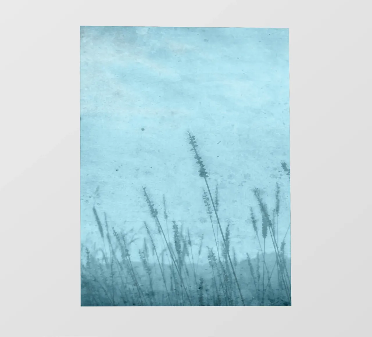 Prati pellicola backlit da ArtSkratches