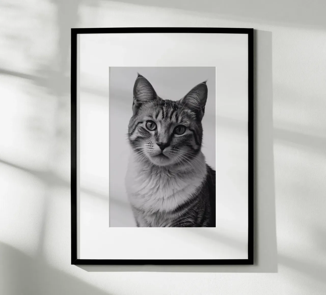 Elegante ritratto di gatto in bianco e nero | Werk 27 carta hahnemühle da Paws & Portraits