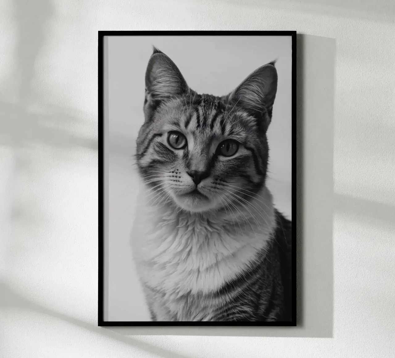 Elegante ritratto di gatto in bianco e nero | Werk 27 carta hahnemühle da Paws & Portraits