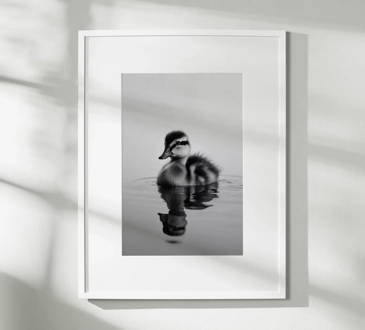 Pulcini sull'acqua con riflesso | Lavoro 29 poster con telaio in alluminio da Paws & Portraits