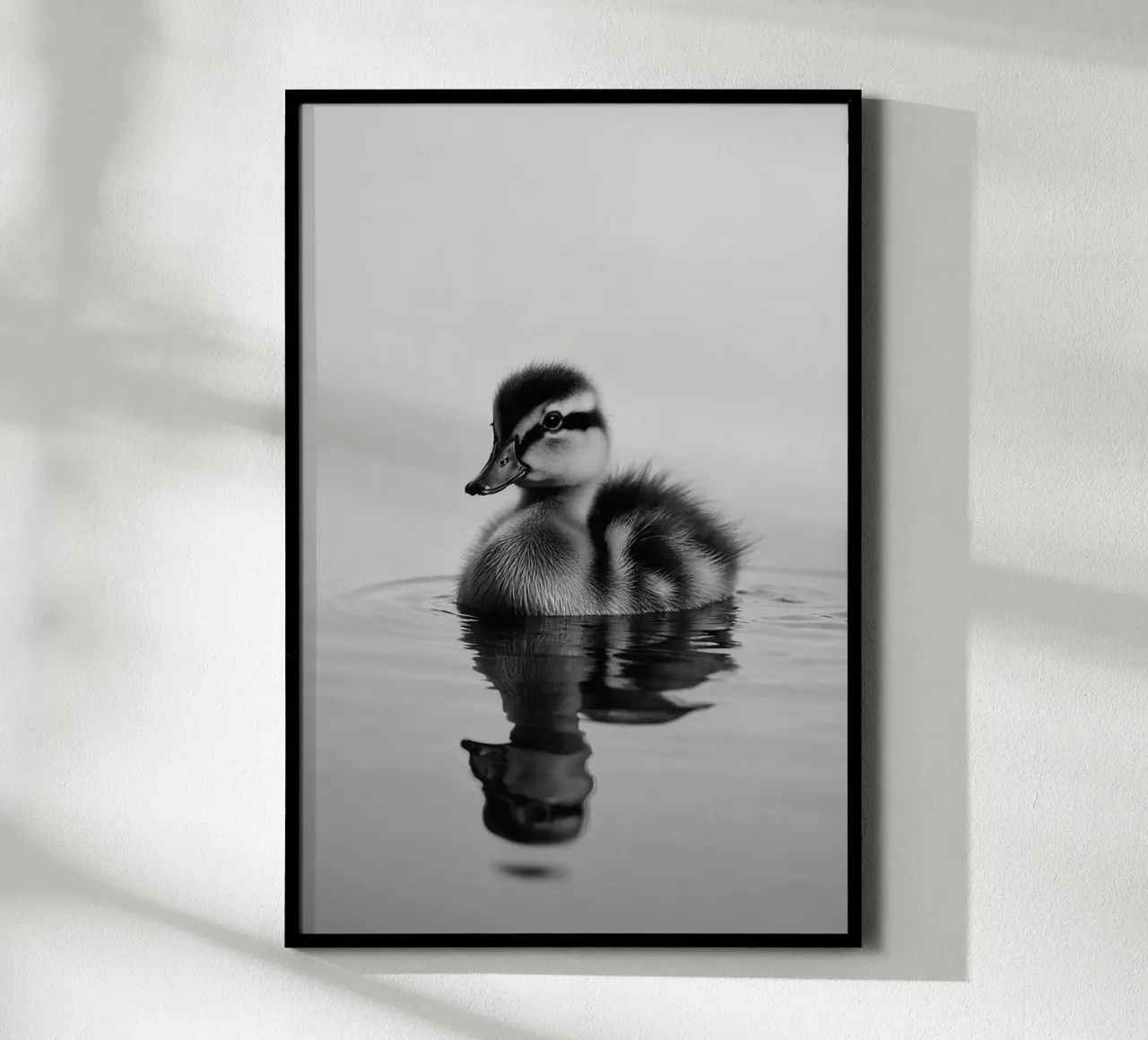 Pulcini sull'acqua con riflesso | Lavoro 29 poster con telaio in alluminio da Paws & Portraits