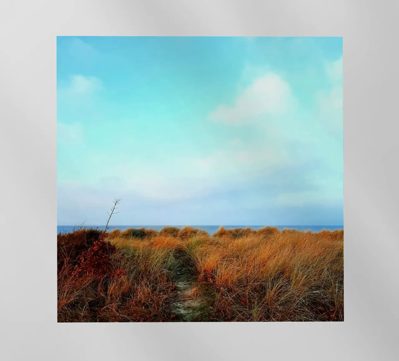 Strand pellicola backlit da Tabea Jule Photography