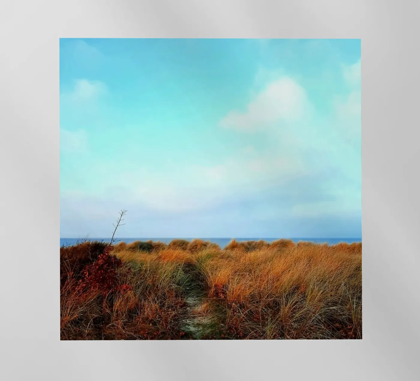 Strand backlit folie van Tabea Jule Photography