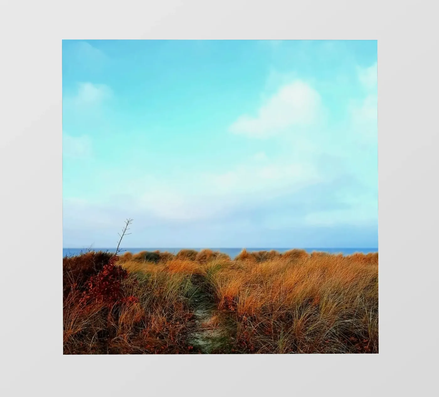 Strand fotobehang van Tabea Jule Photography