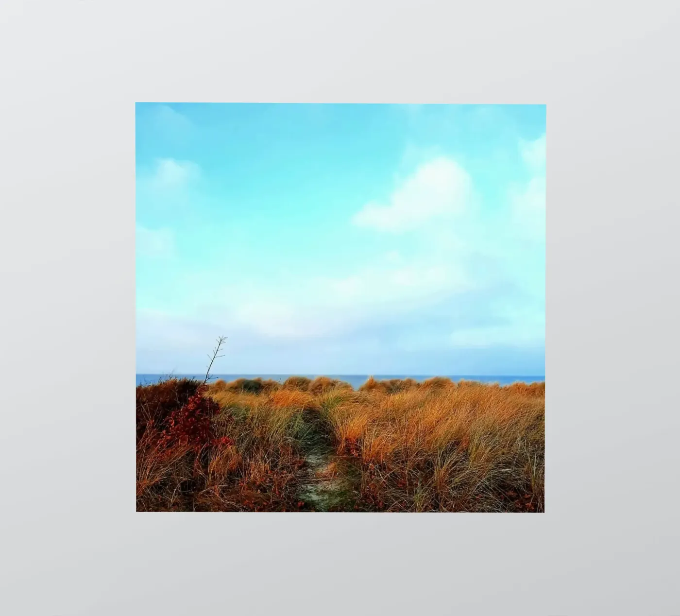 Strand sticker by Tabea Jule Photography