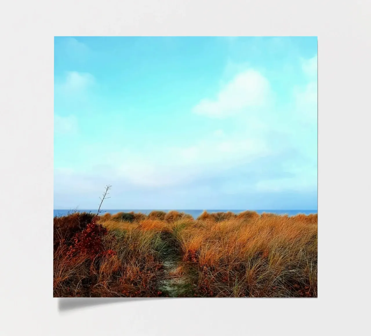 Strand foglio adesivo da Tabea Jule Photography