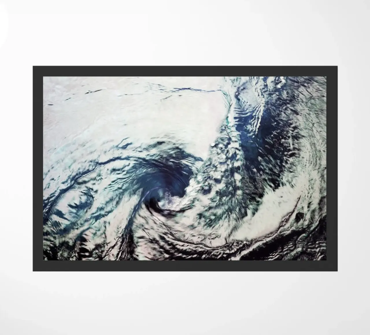 Vortex zerbino da Angelo Cerantola