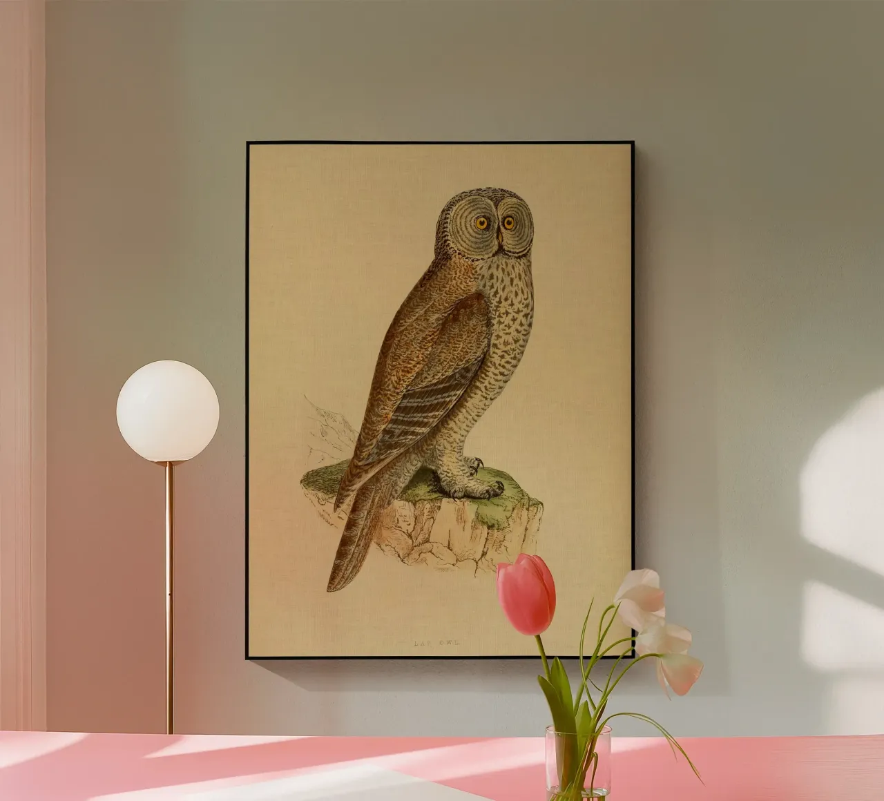 Lap Owl plexiglas de vintagebotanics