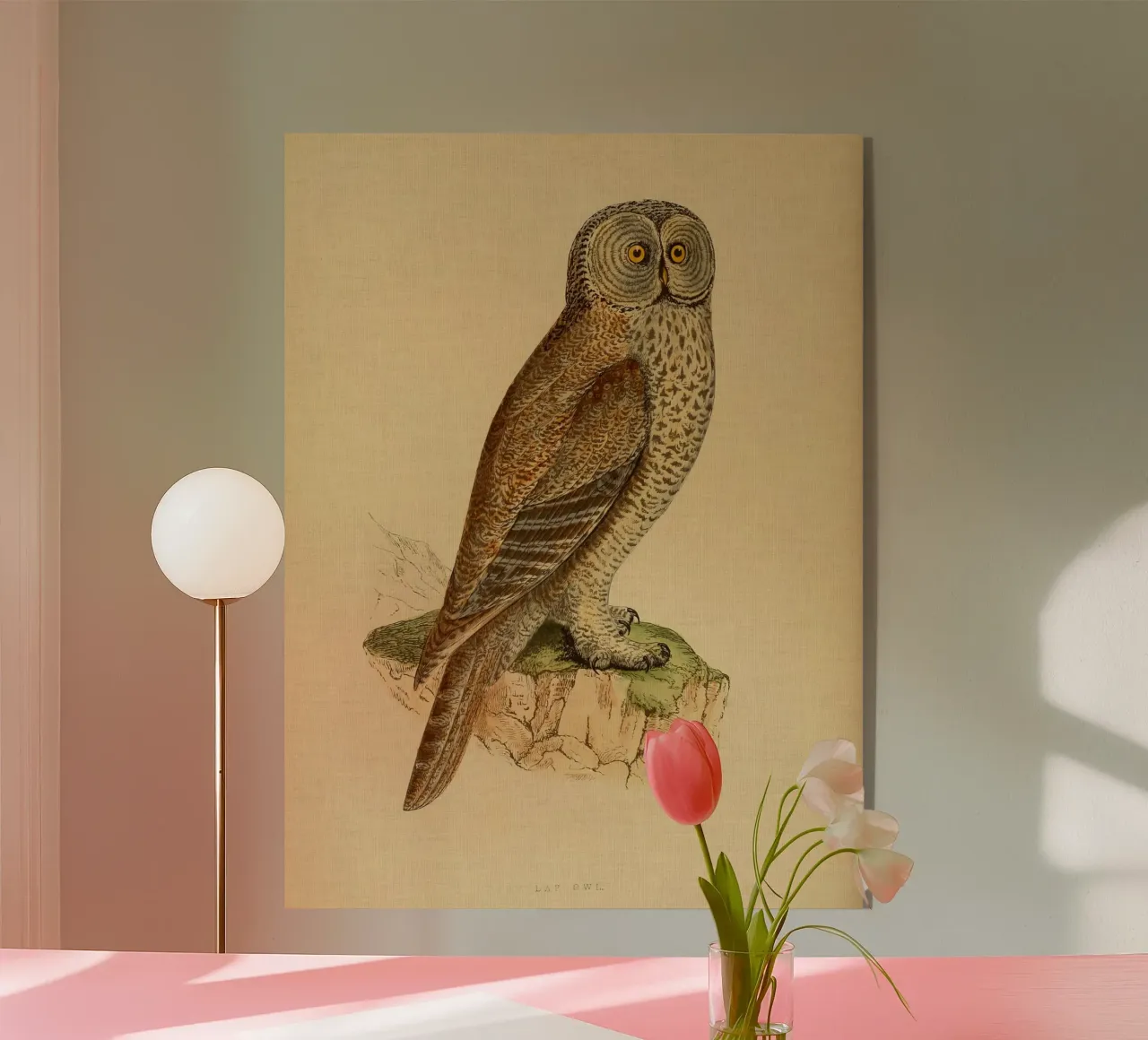 Lap Owl plexiglas de vintagebotanics