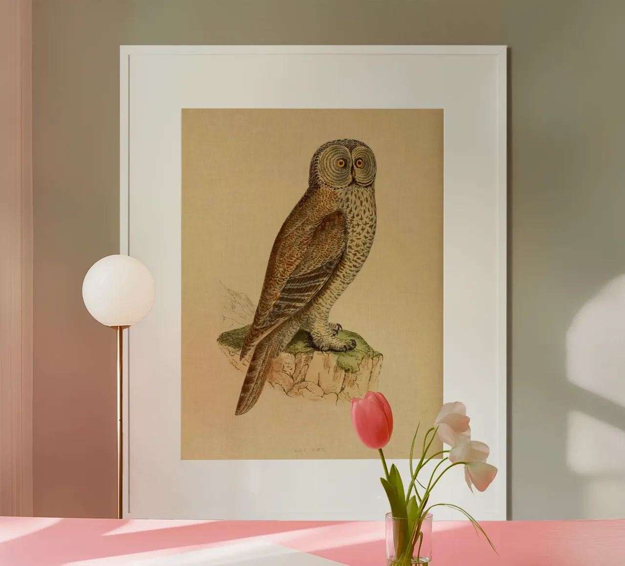 Lap Owl poster by vintagebotanics