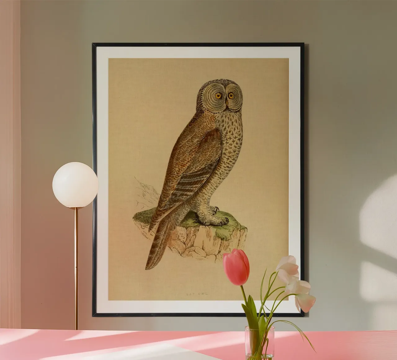 Lap Owl poster da vintagebotanics
