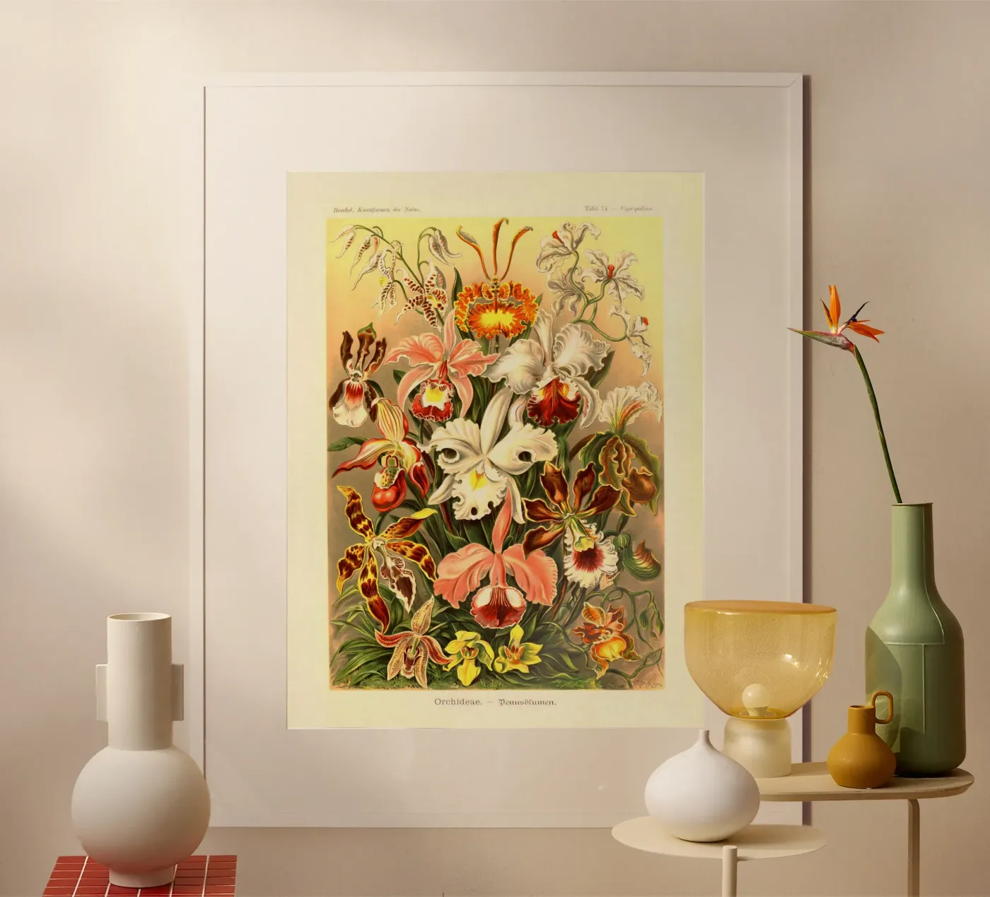 Summer's here poster by vintagebotanics