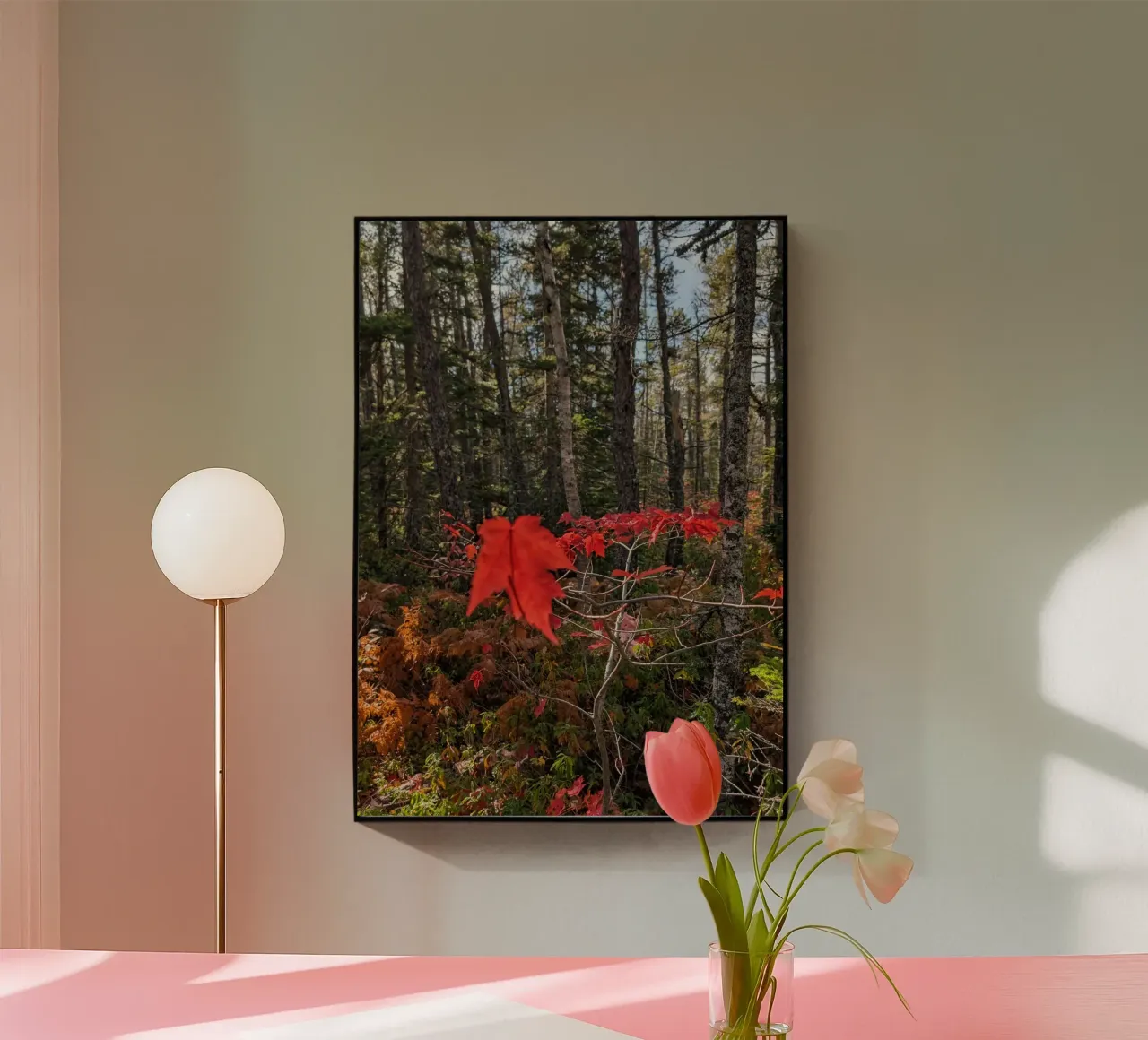 Forest plexiglass da mariesphotos