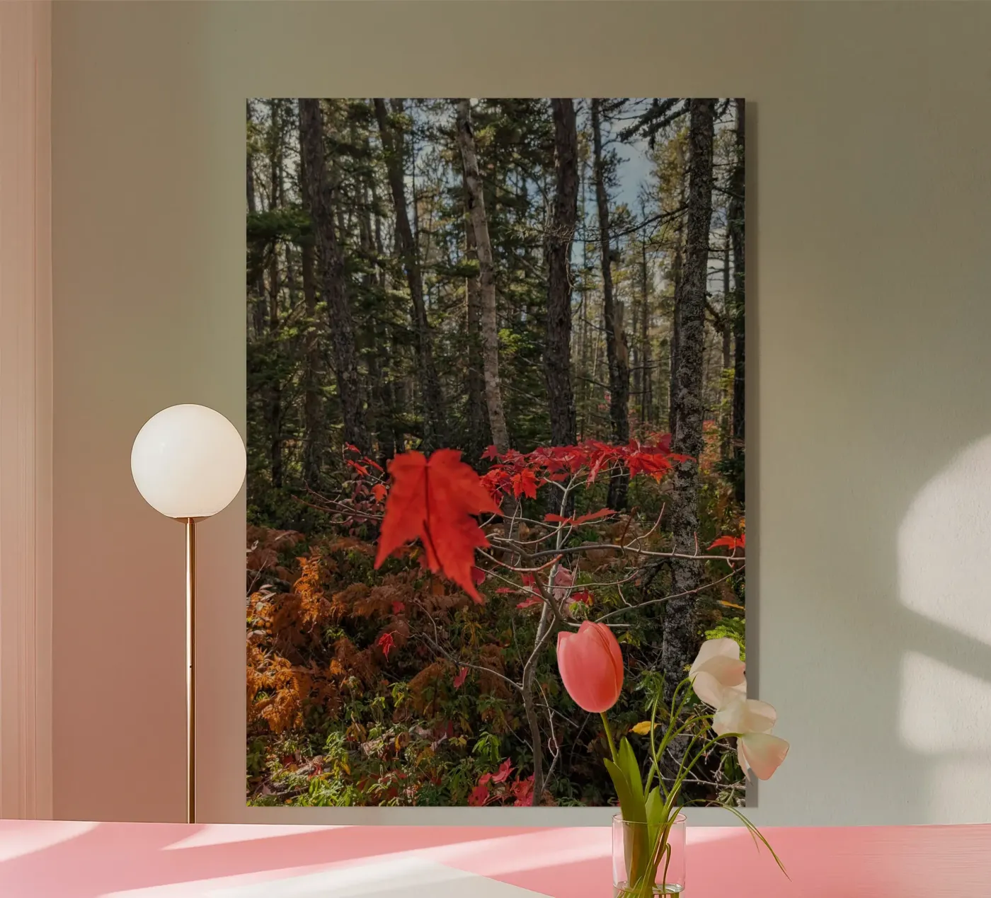 Forest plexiglas de mariesphotos