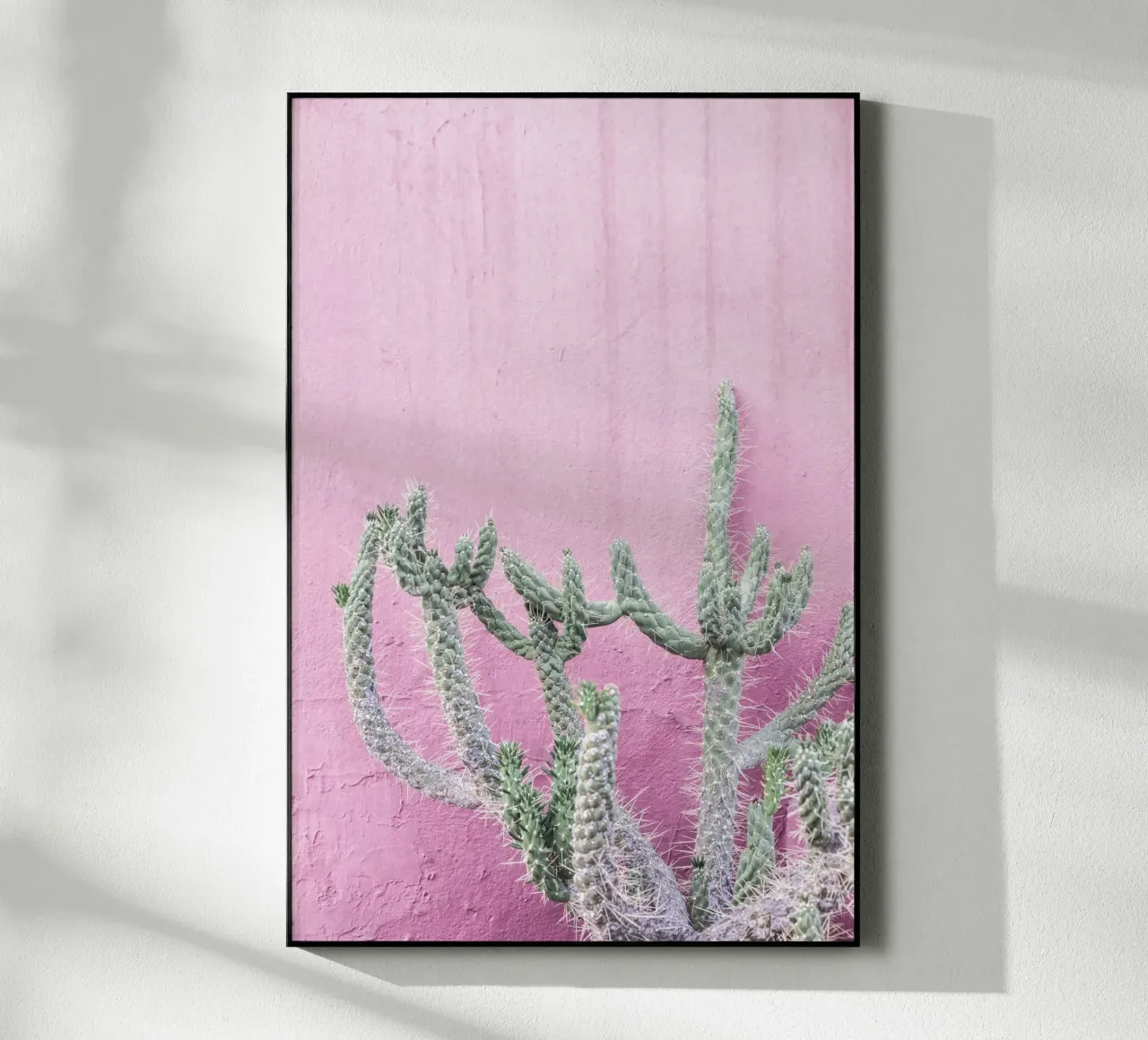 Cactus su rosa plexiglass da Kathrin Pienaar