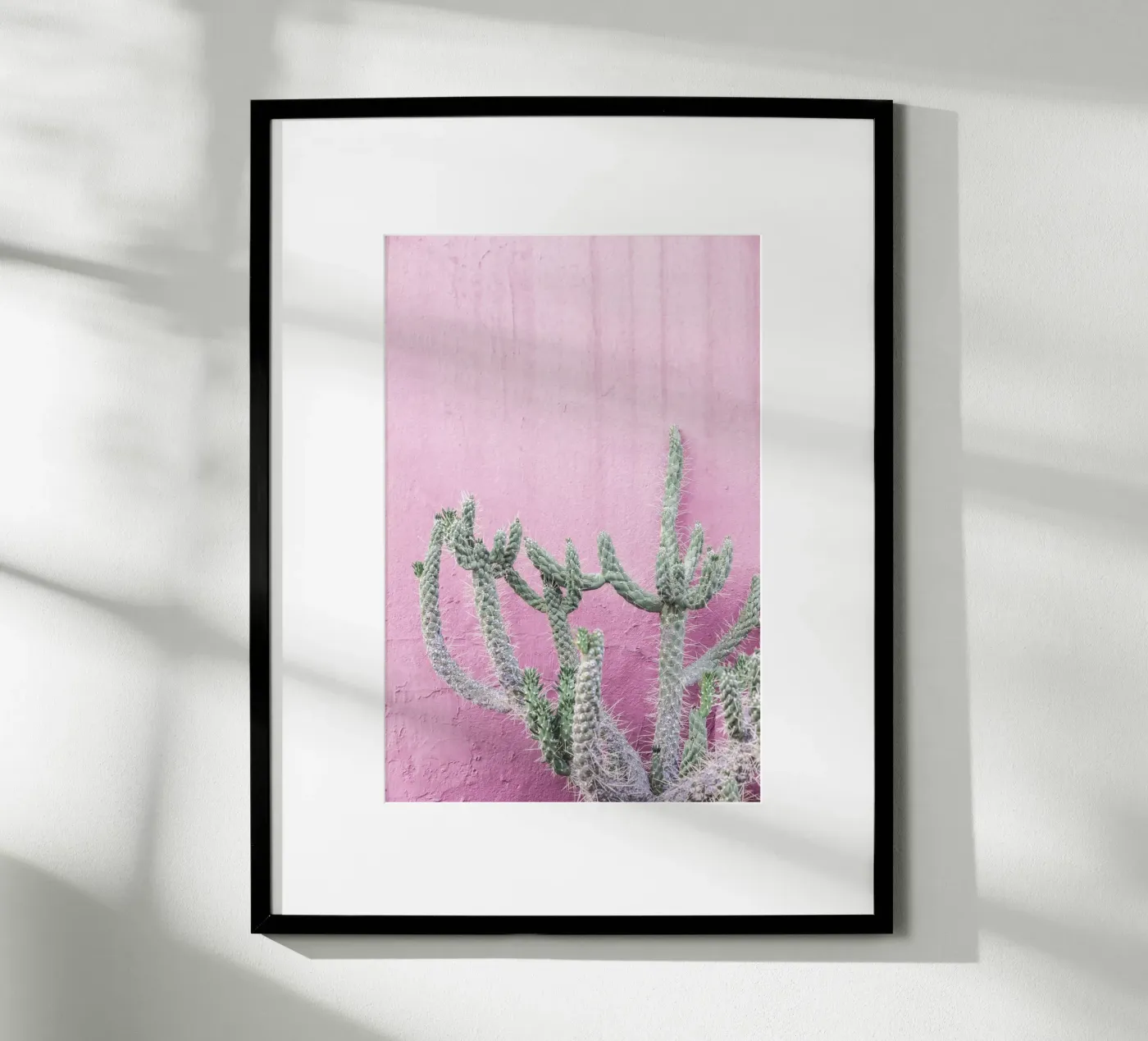 Cactus su rosa poster da Kathrin Pienaar