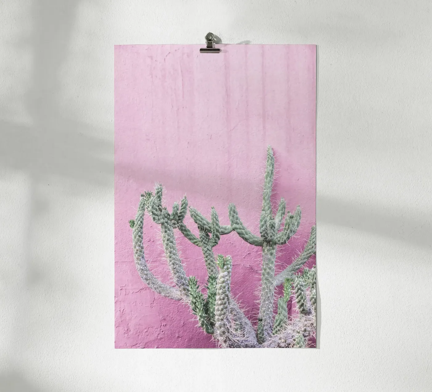Cactus su rosa poster da Kathrin Pienaar