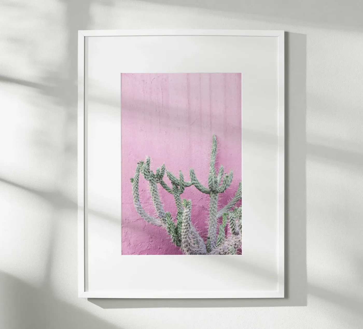 Cactus su rosa poster da Kathrin Pienaar