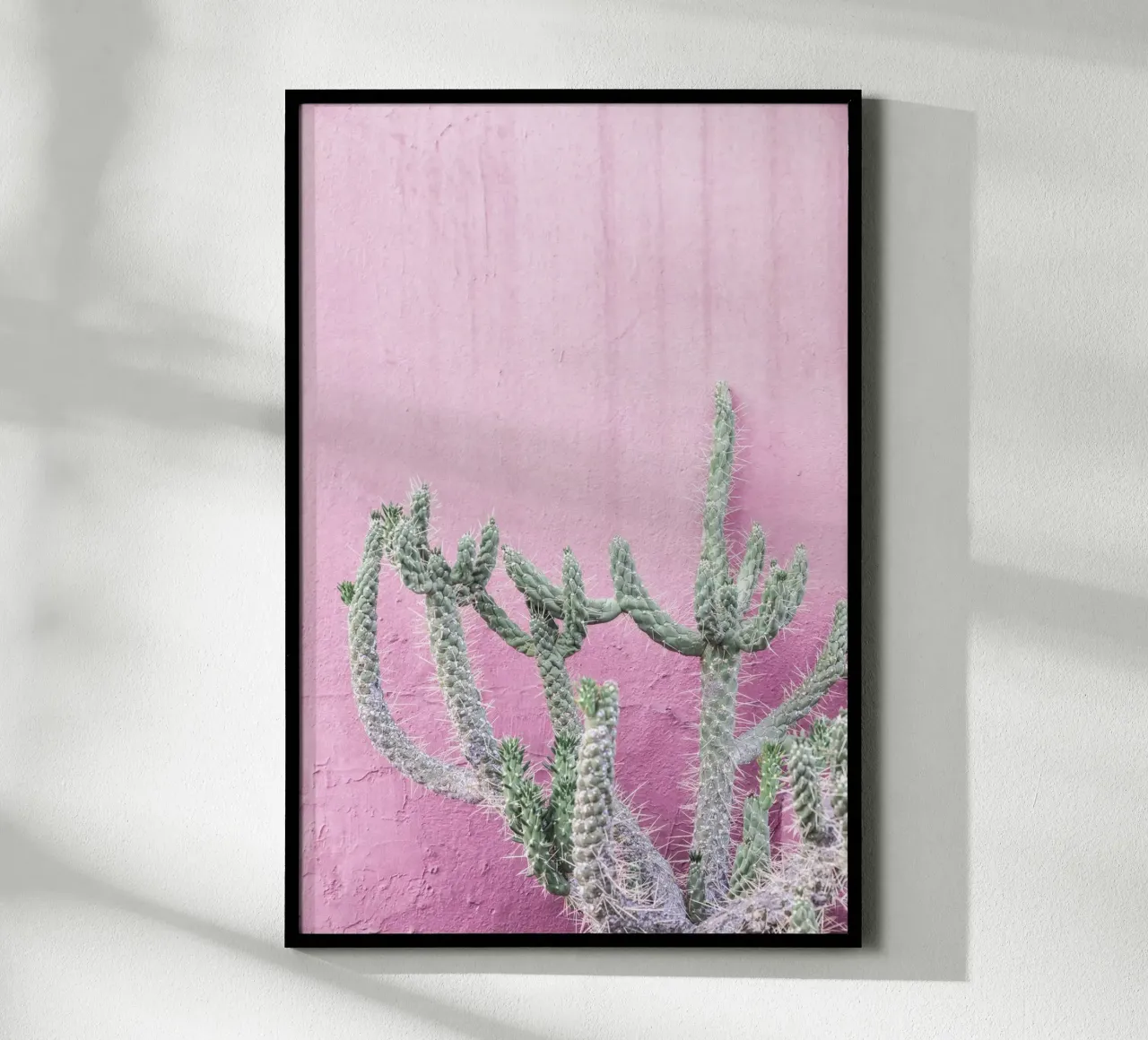 Cactus su rosa carta hahnemühle da Kathrin Pienaar